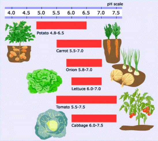 soil ph for vegetables